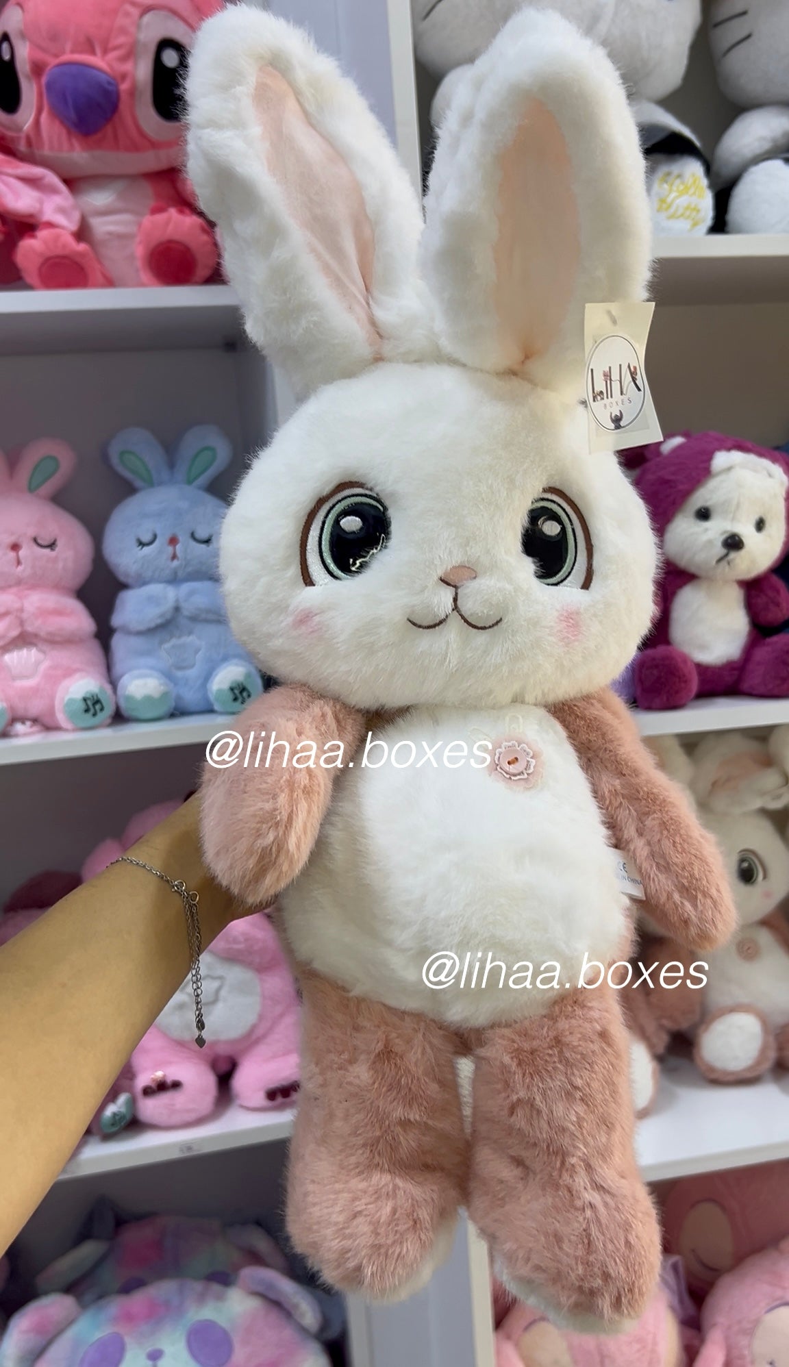 Lapin cute