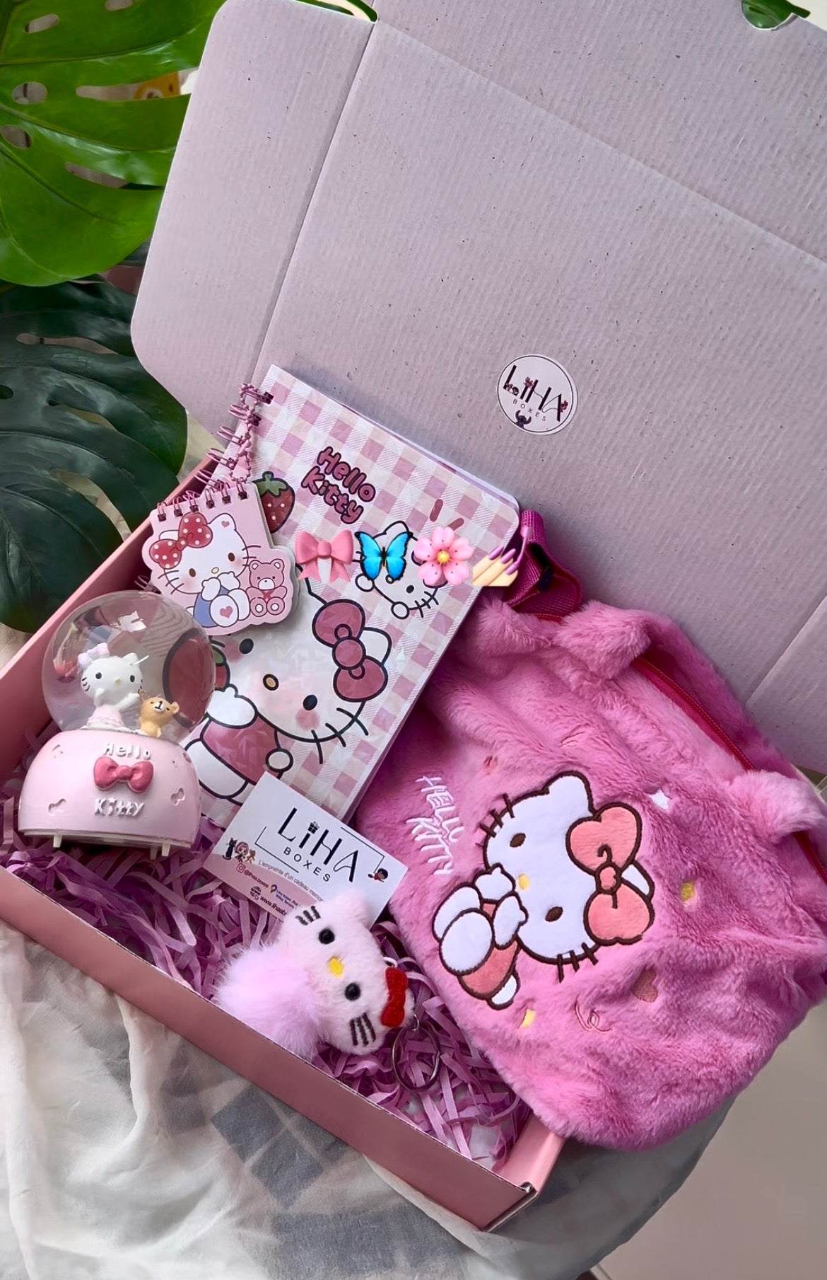 Pack hello kitty