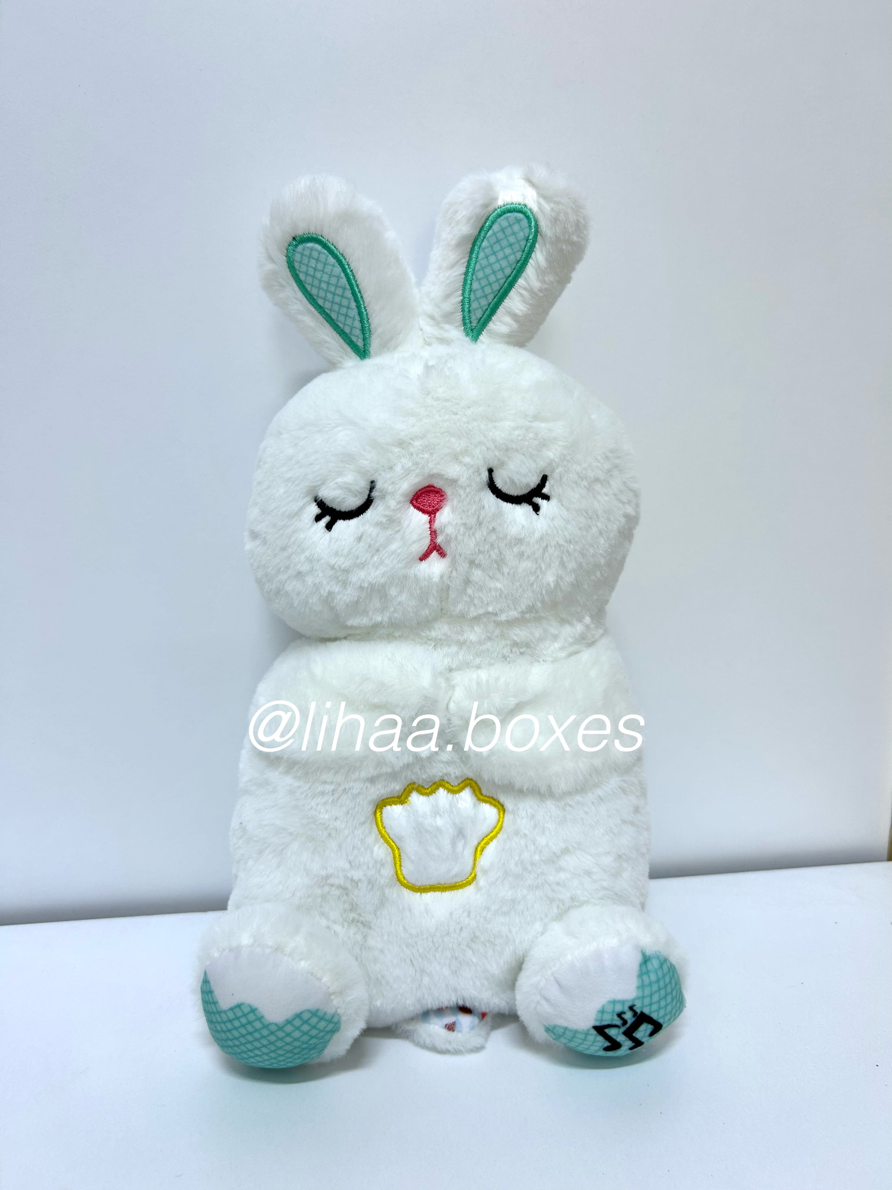Lapin respirant