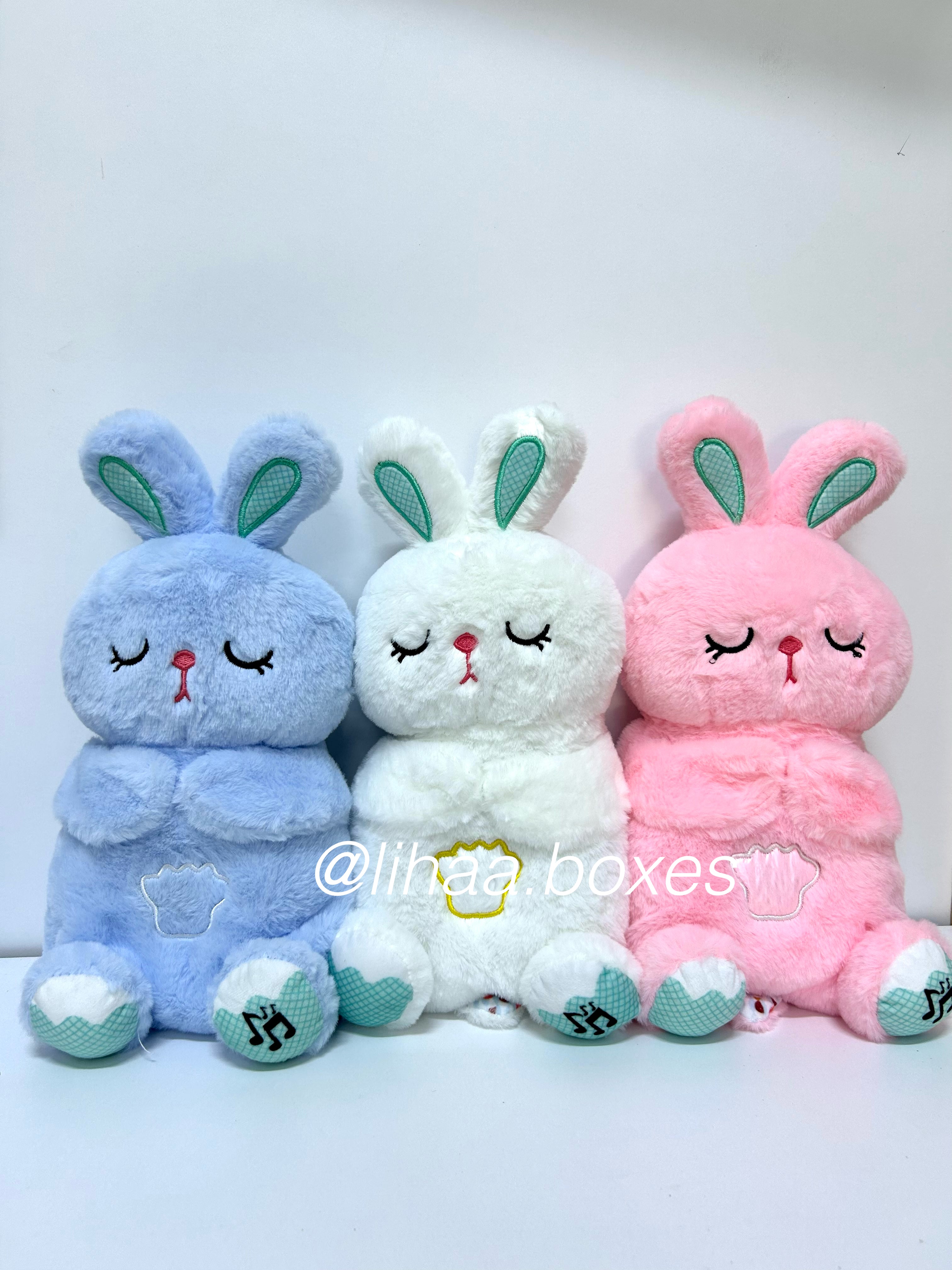 Lapin respirant