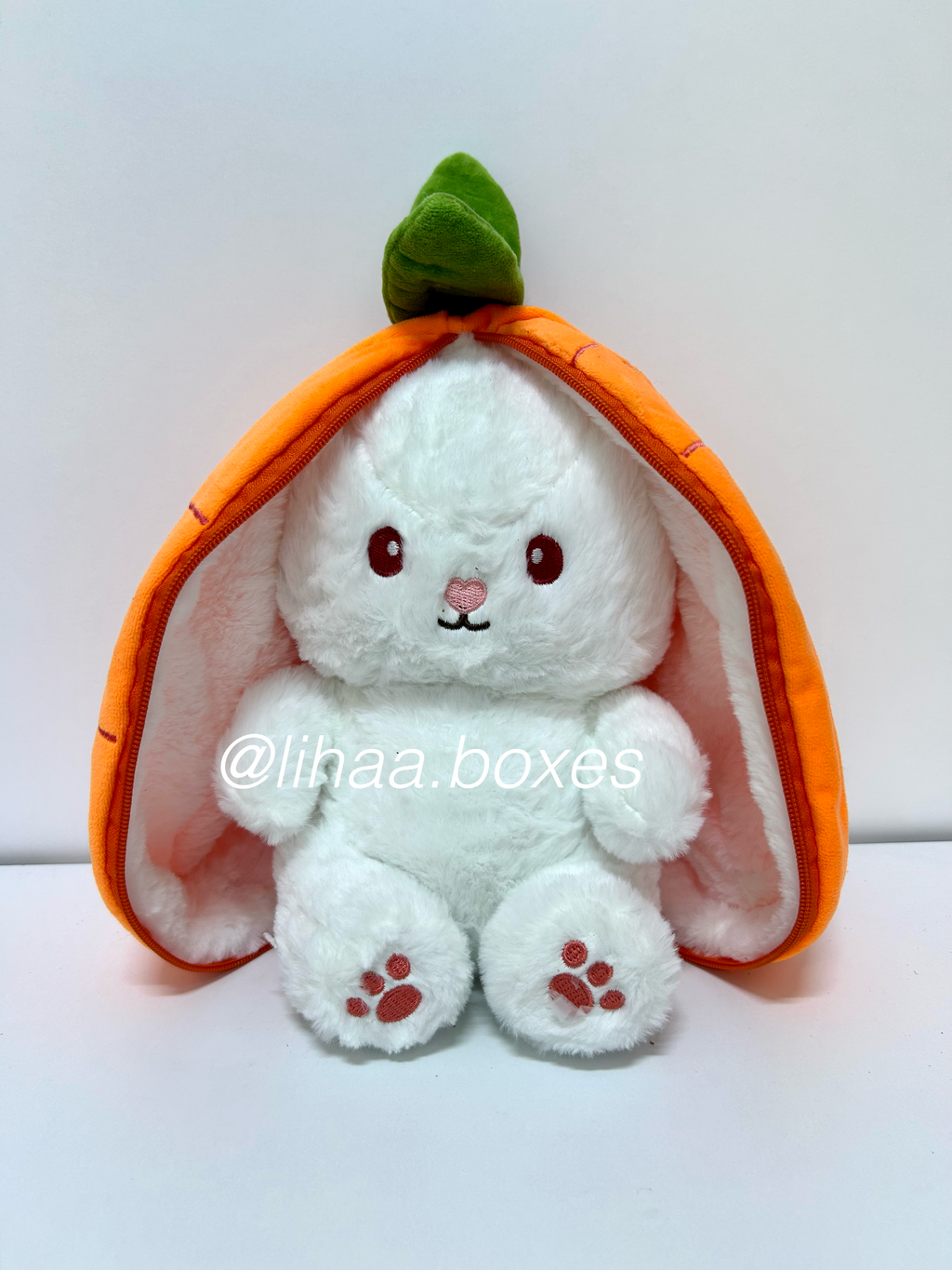 Lapin carotte
