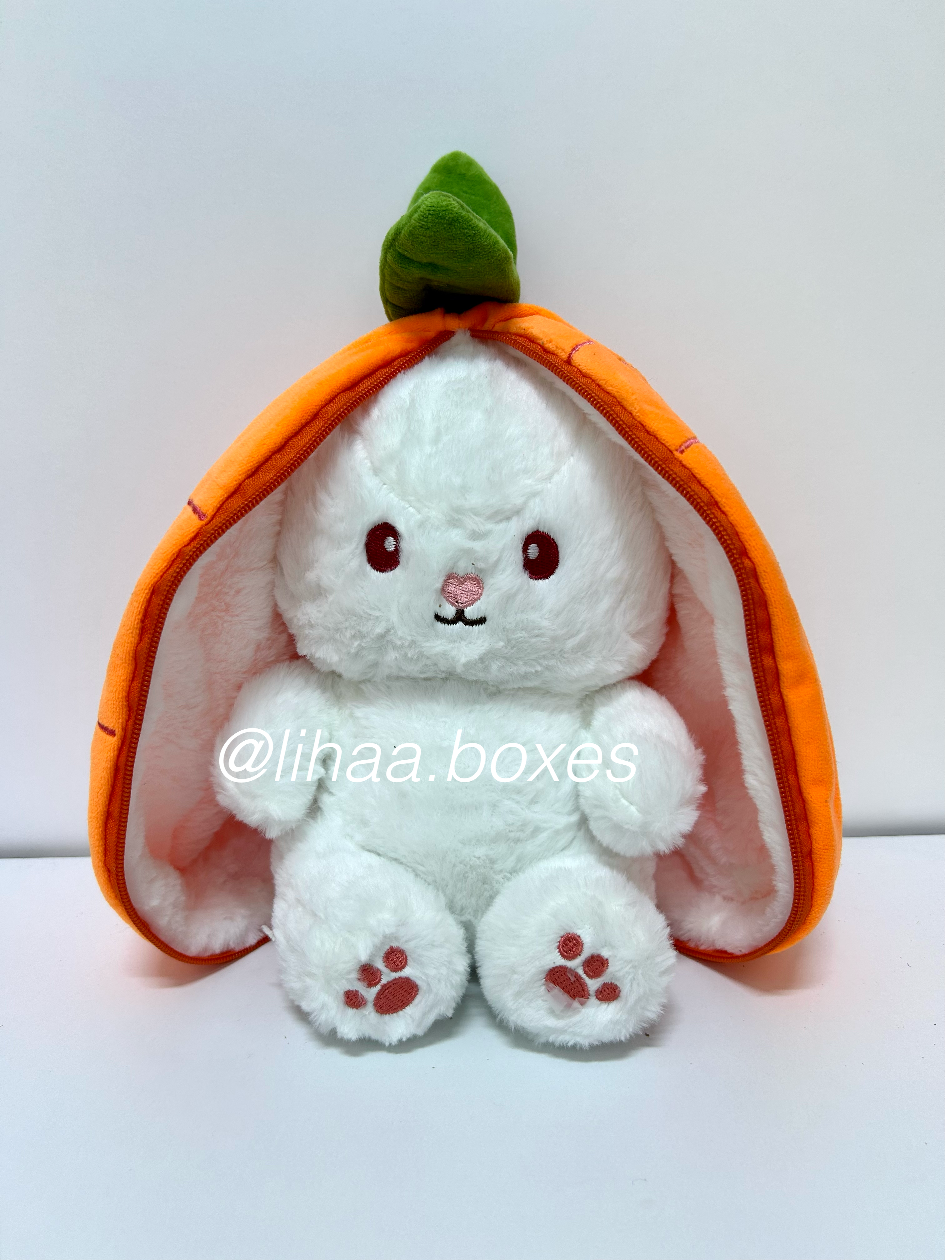 Lapin carotte