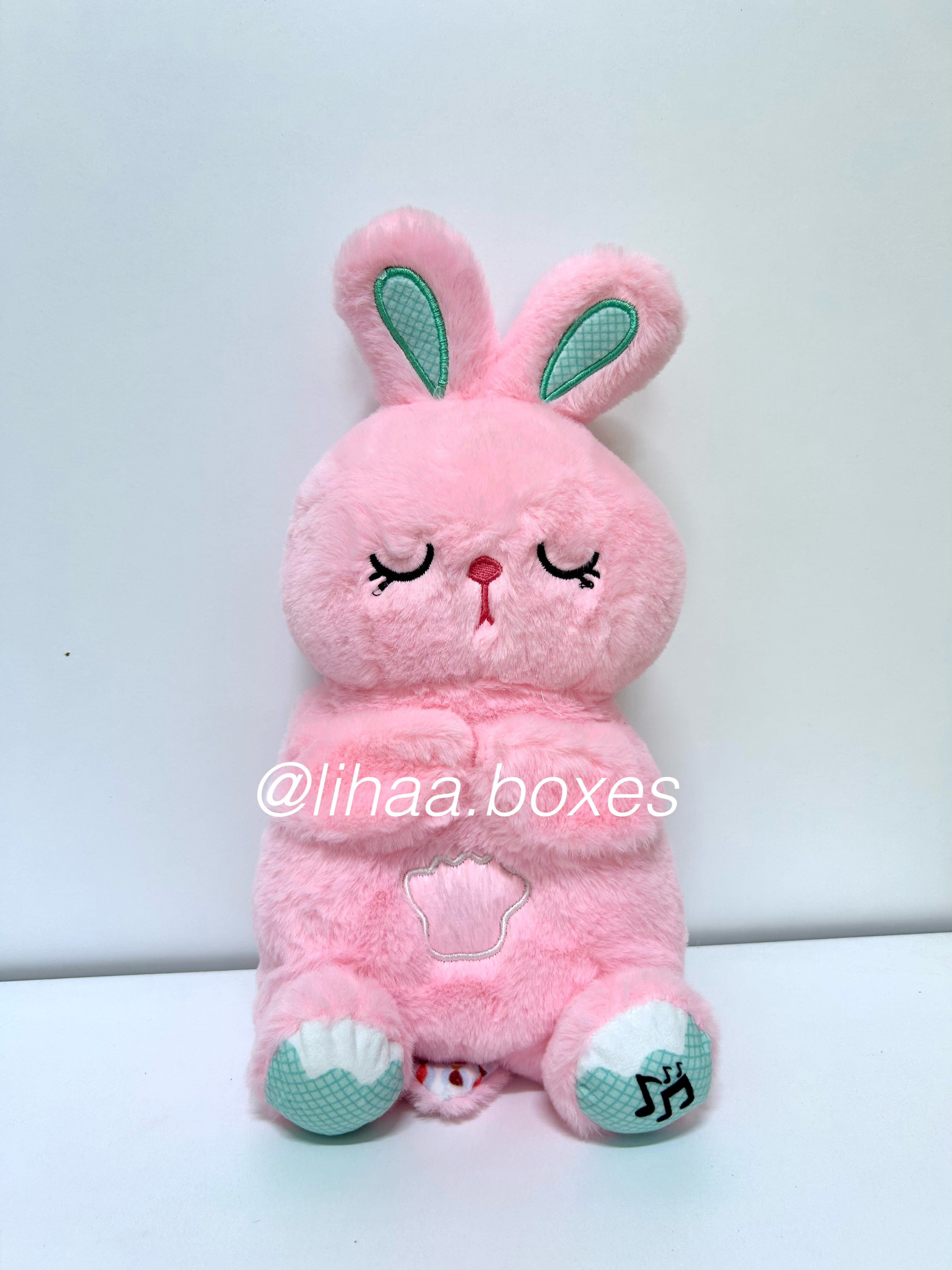 Lapin respirant