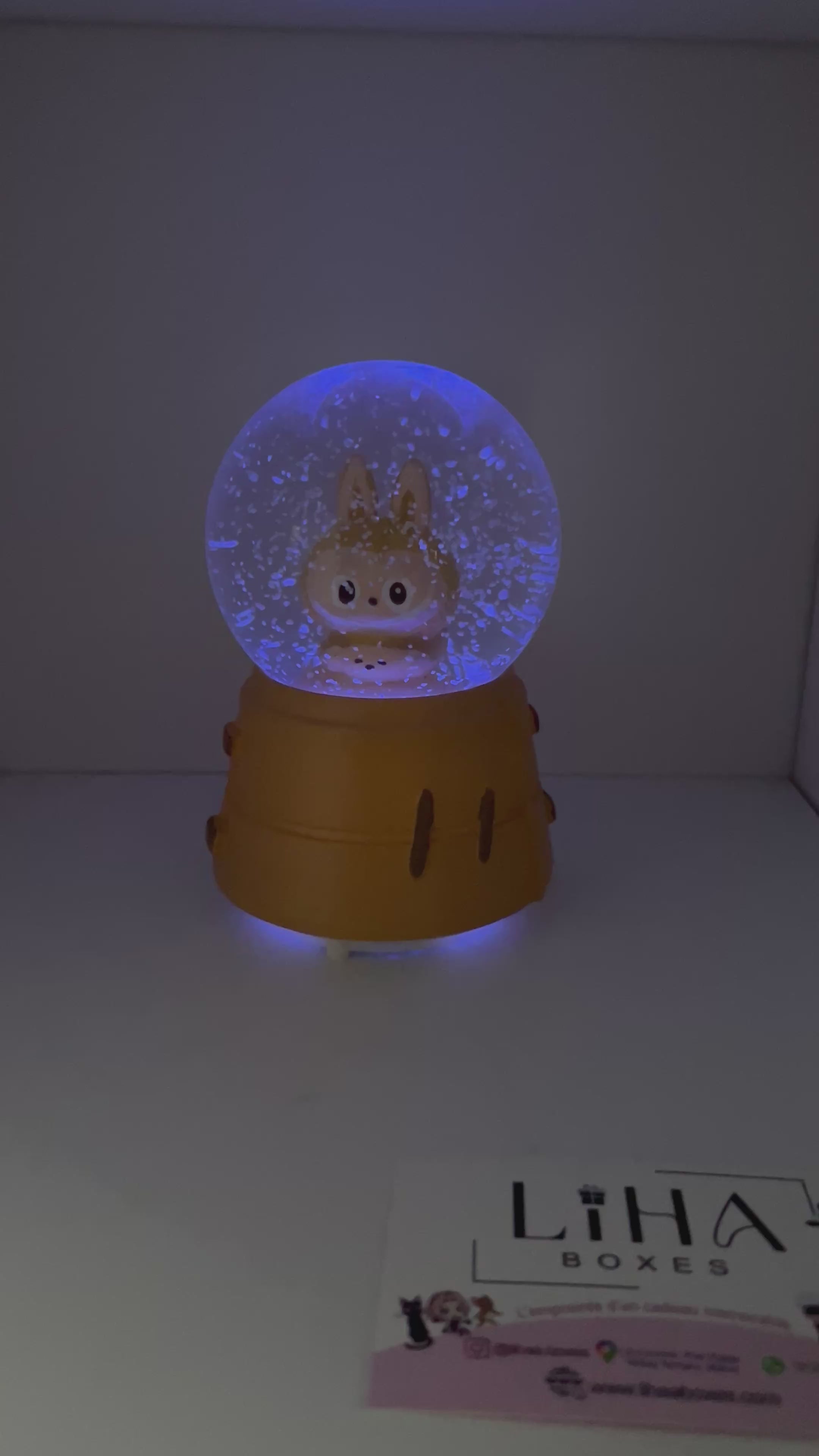 Boule de neige labubu
