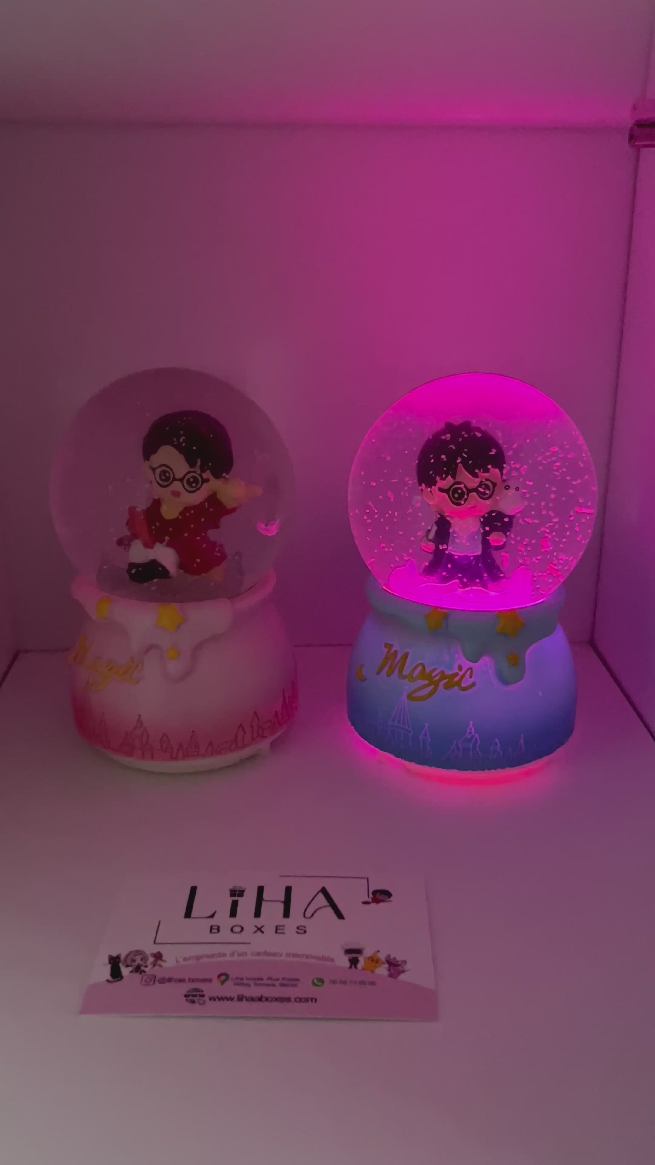 Boule de neige harry potter